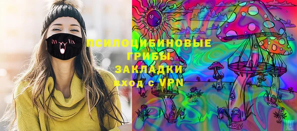 ECSTASY Алзамай