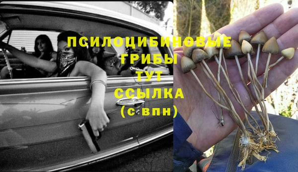 ECSTASY Алзамай