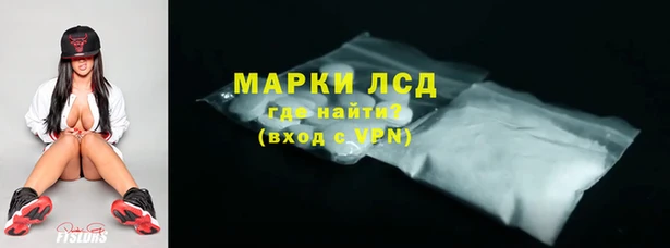 ECSTASY Алзамай