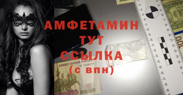 ECSTASY Алзамай