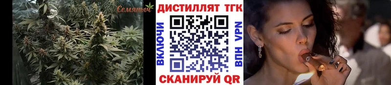 darknet какой сайт Лебедянь Дистиллят ТГК гашишное масло гидра зеркало