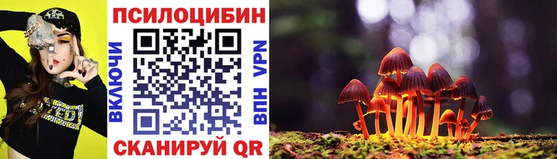 где найти   Лебедянь  Галлюциногенные грибы ЛСД 